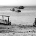 farming_seaweed_nlem_h_0186_bal3446_bw.jpg